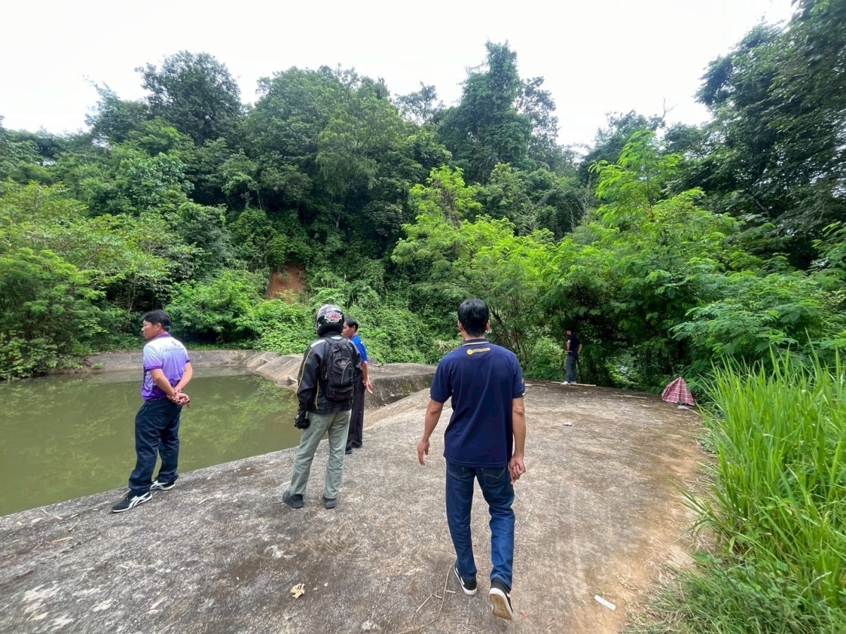 15.jpg